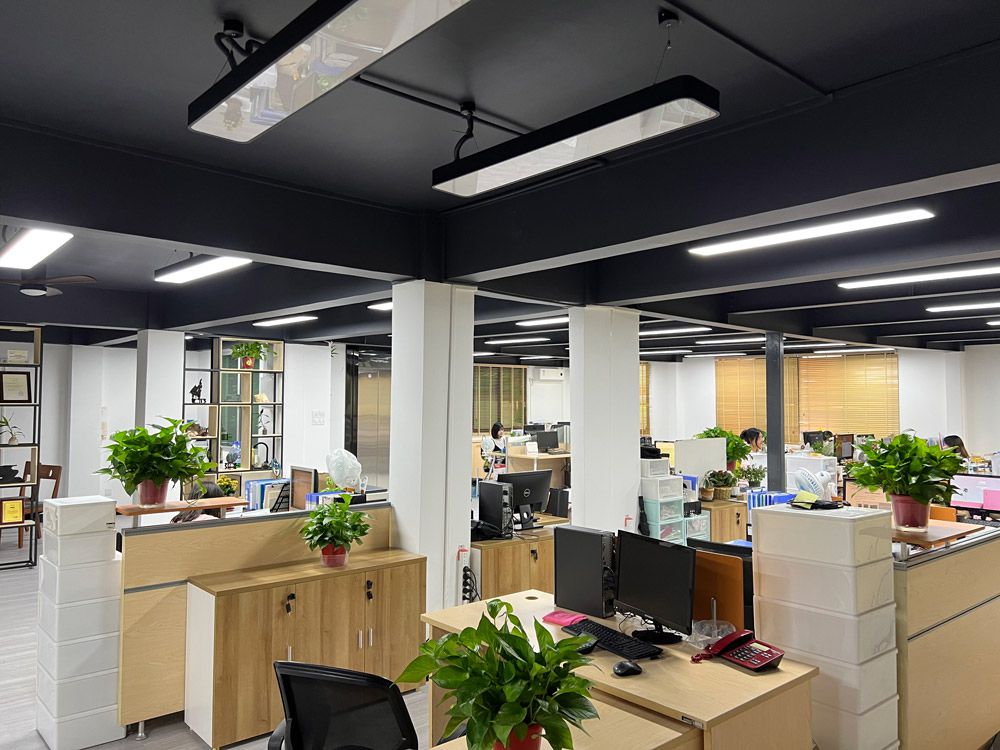 Fabricante profesional de maquinaria de envasado